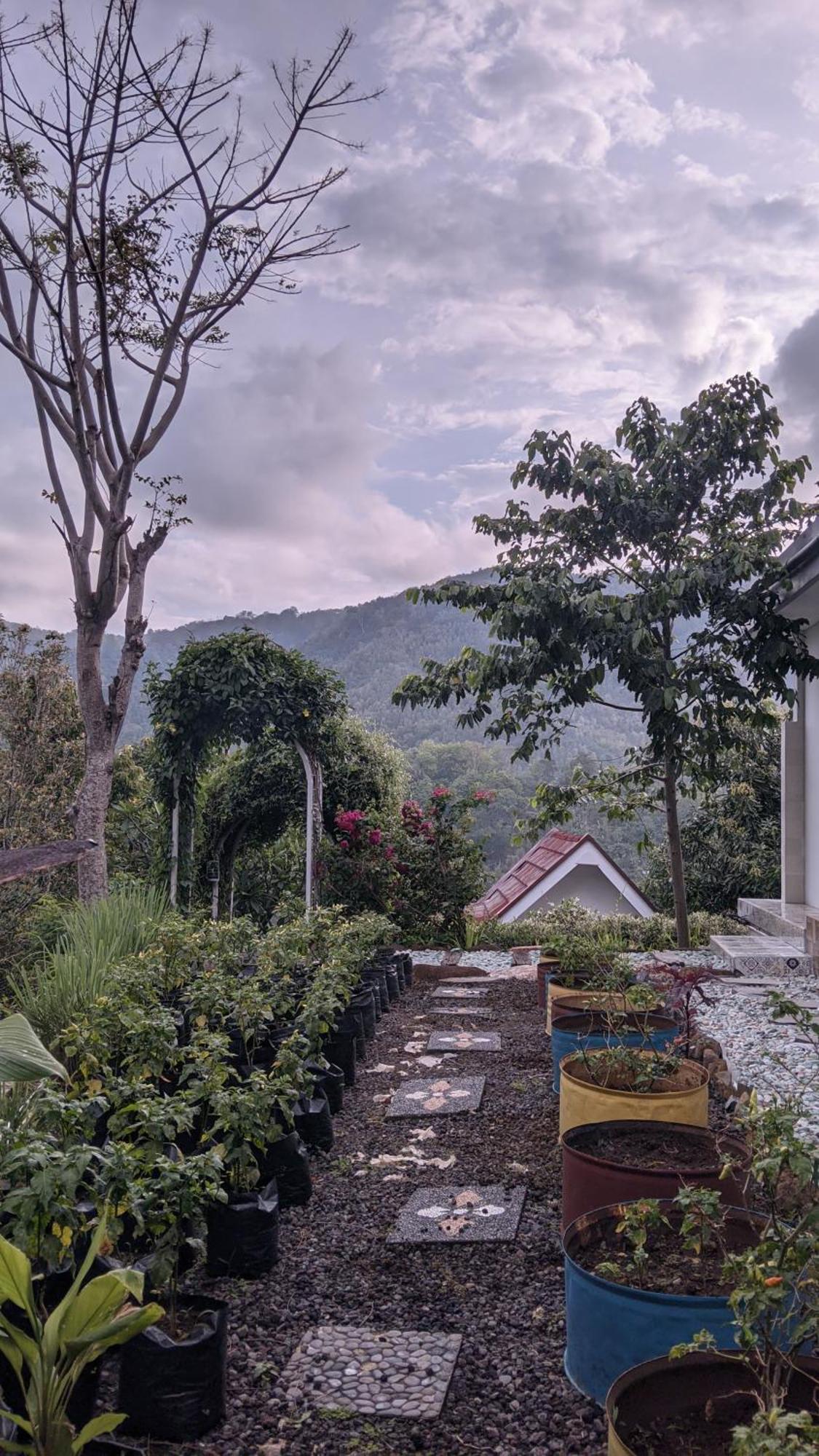 Ling & Louie'S Mountain Villa Mayong Екстериор снимка